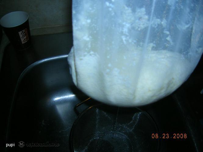 Branza si Smantana de Casa