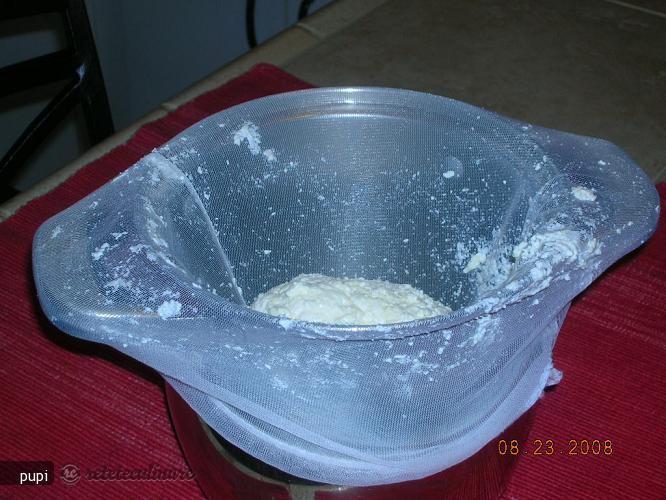 Branza si Smantana de Casa