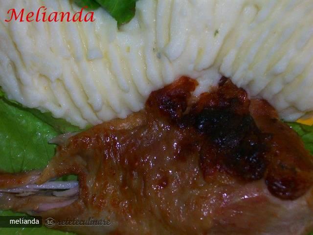 Friptura Aromata de Curcan