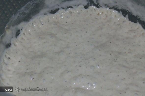 Paine Ciabatta