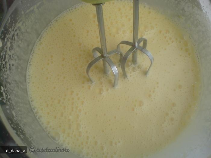 Prajitura cu Sana si Budinca