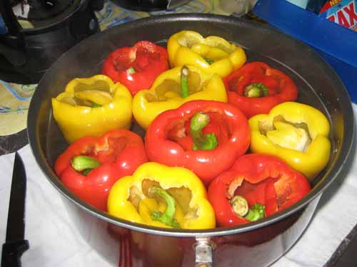 Paprika
