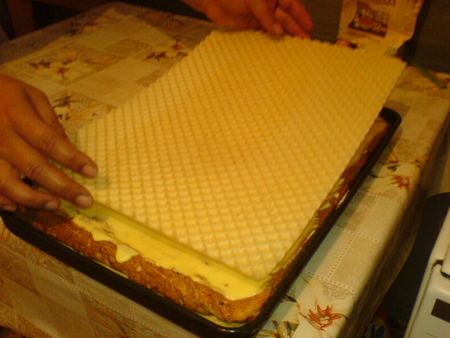 Mozaic