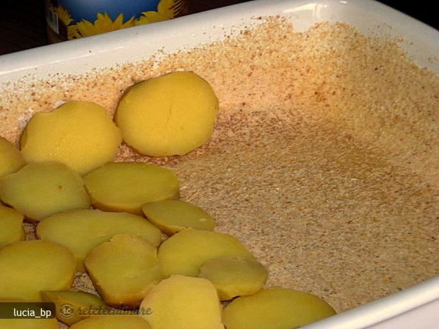Budinca de Conopida