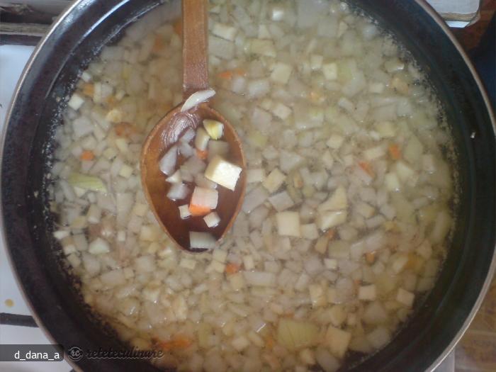 Ciorba de Pui cu Smantana