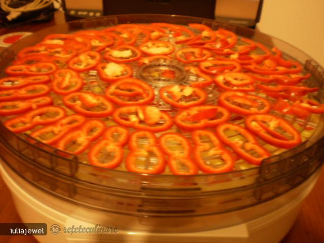 Delikat Facut in Casa