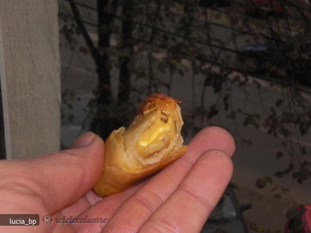 `Strudel` Aperitiv cu Branza Topita