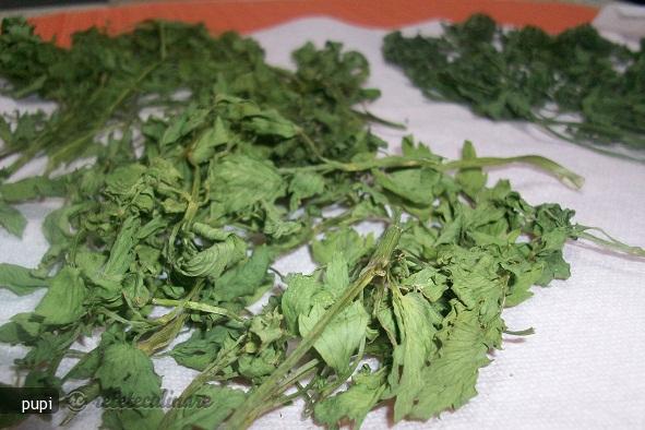 Ierburi Aromate (Uscate)