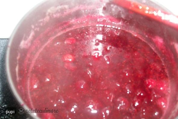 Sos de Merisoare (Cranberries Sauce)