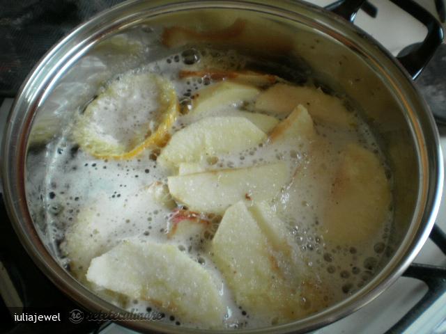 Supa de Mere/ Bere Holstein