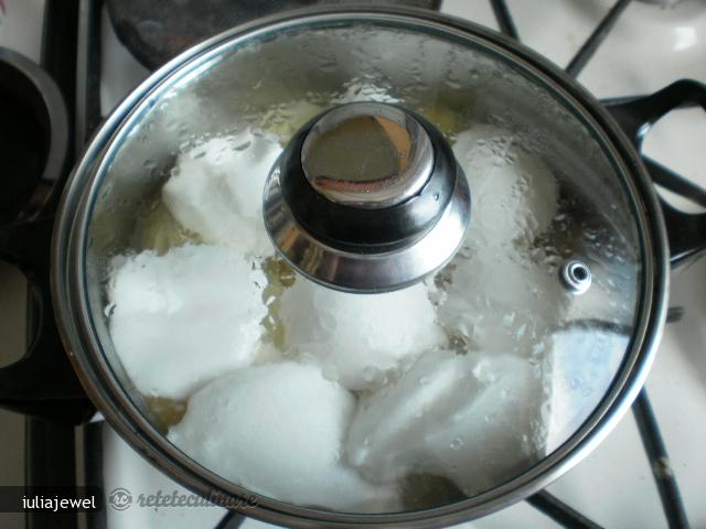 Supa de Mere/ Bere Holstein