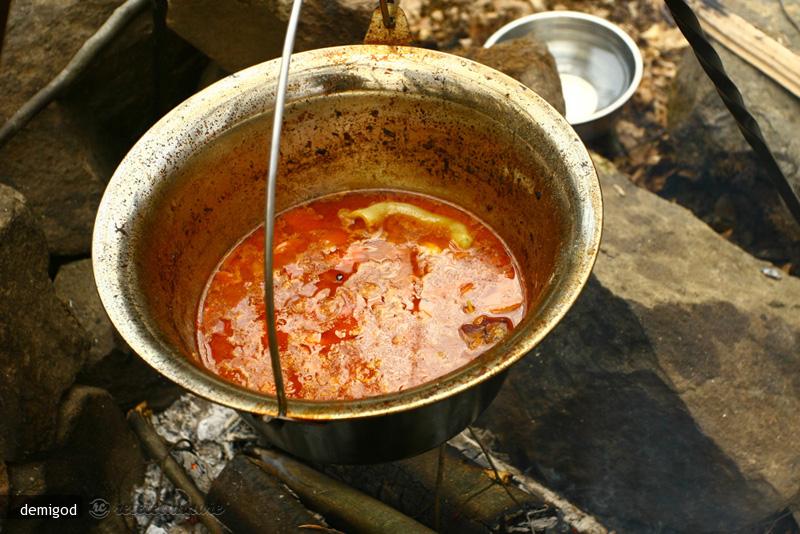 Guias de Vita la Ceaun