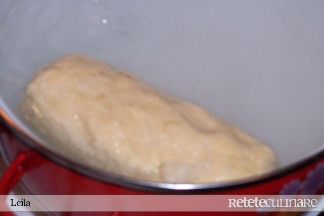 Klebba (Knedli) cu pui si smantana