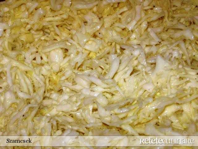 Tocanita de vitel in sos de vin si cartofi