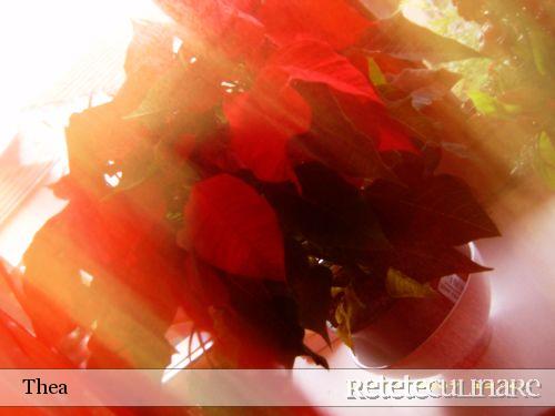 Chec cu masline