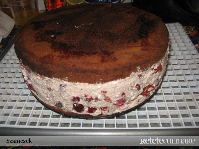 Tort Cu Ciocolata Si Visine
