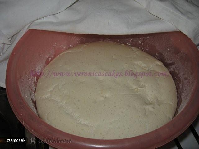 Langosi