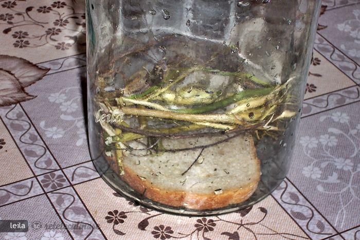 Castraveti Acriti La Soare - Kovaszos Uborka