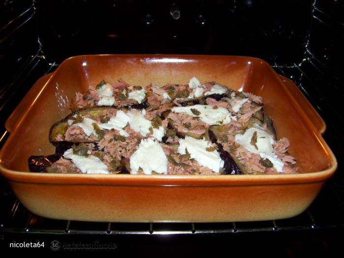 Vinete cu Ton si Mozzarella