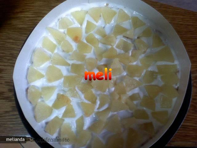 Deliciu Tropical cu Ananas (de la Dr. Oetker)