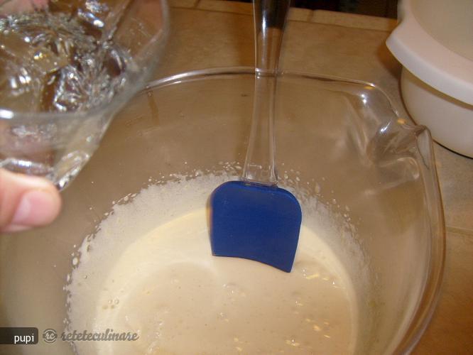 Prajitura cu Nuca de Cocos si Crema de Ciocolata