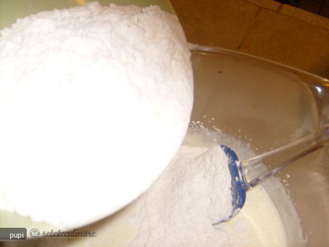 Prajitura cu Nuca de Cocos si Crema de Ciocolata