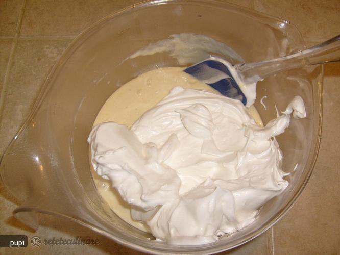 Prajitura cu Nuca de Cocos si Crema de Ciocolata