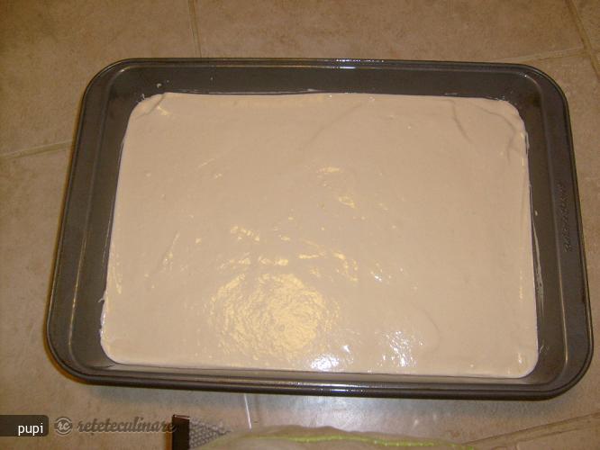 Prajitura cu Nuca de Cocos si Crema de Ciocolata
