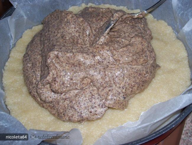Tort cu nuca de cocos si ciocolata