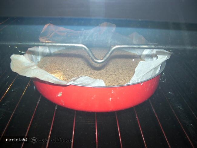 Tort cu nuca de cocos si ciocolata