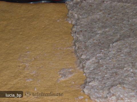 Prajitura cu Crema de Nuca Prajita si Smantana