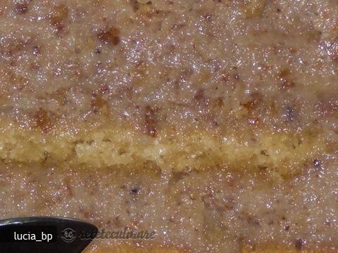 Prajitura cu Crema de Nuca Prajita si Smantana