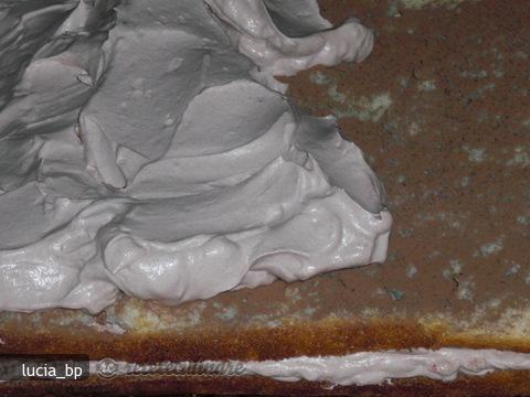 Pandispan cu Crema de Frisca