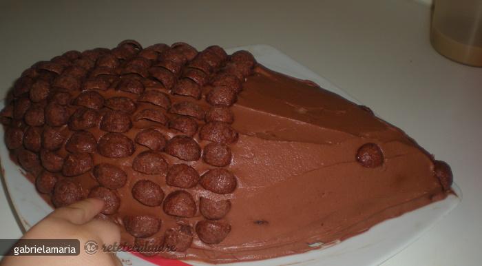 Tort Arici Pogonici