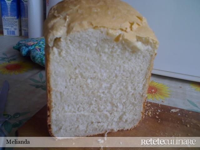 Paine Alba cu Tarate de Grau