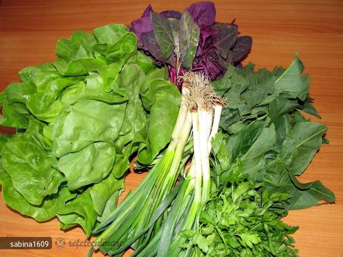 Ciorba de Verdeturi