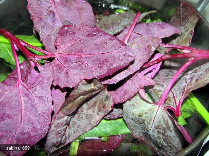 Ciorba de Verdeturi