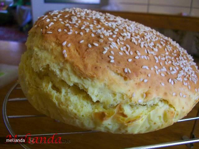 Paine Rapida