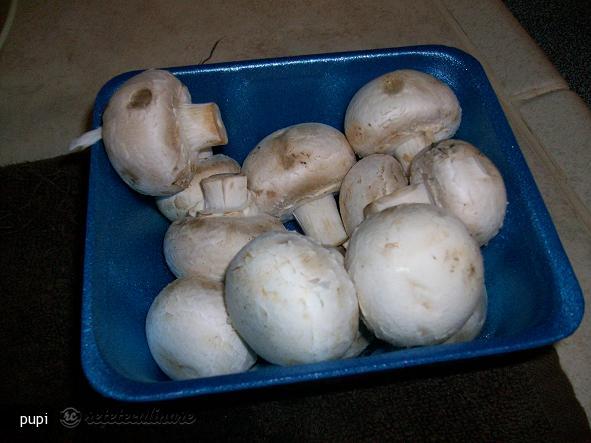 Frigarui de Pui Ii