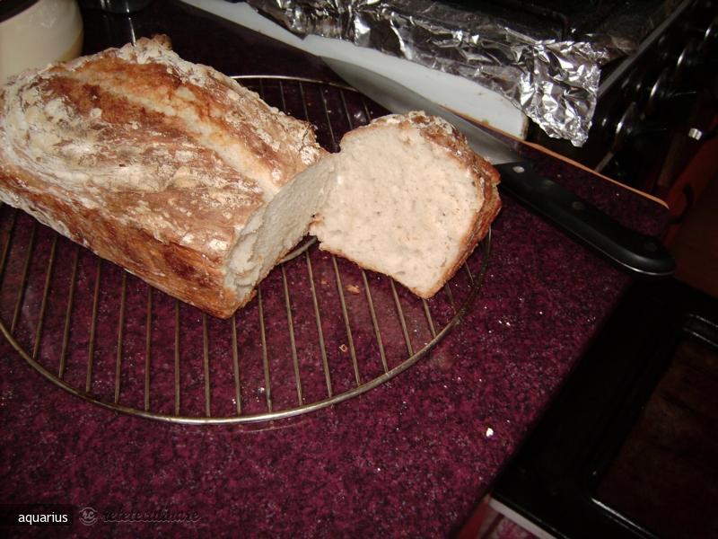 Paine Rustica II