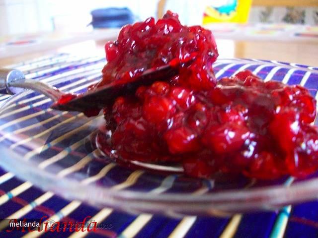 Dulceata de Agrise Rosii