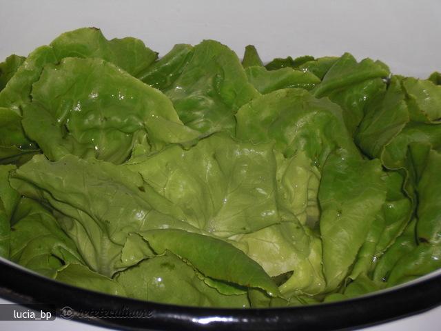 Salata Verde, Umpluta