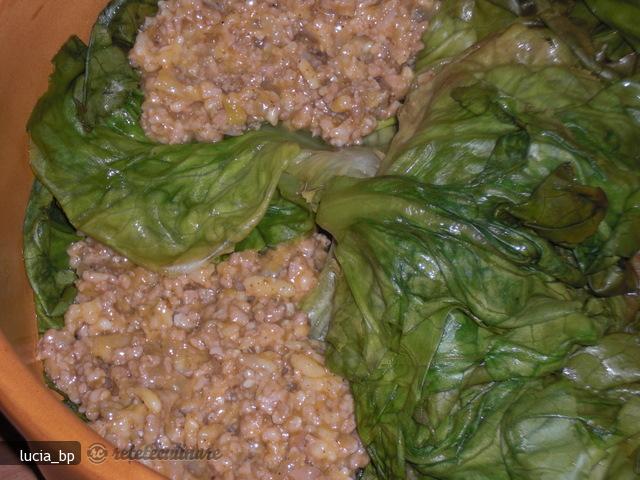 Salata Verde, Umpluta