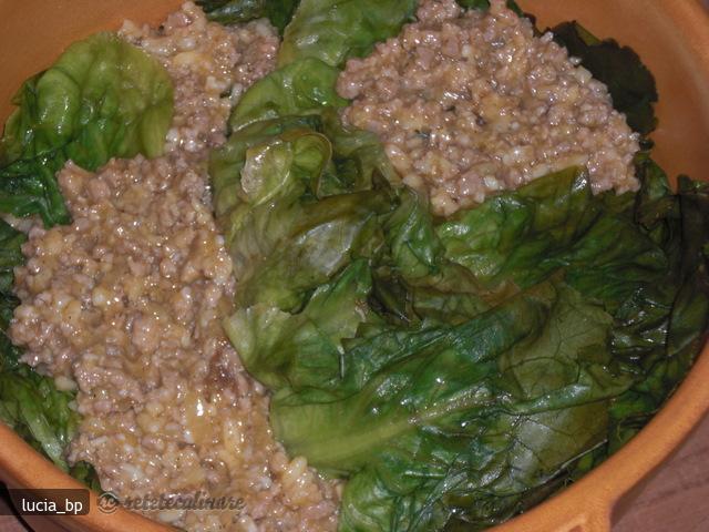 Salata Verde, Umpluta