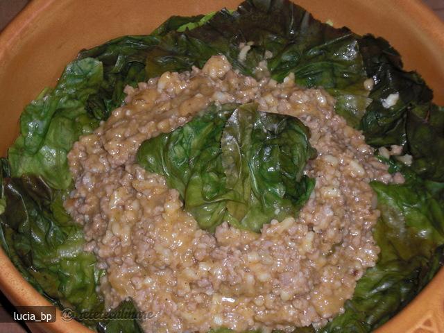 Salata Verde, Umpluta