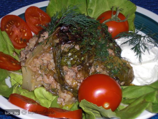 Salata Verde, Umpluta