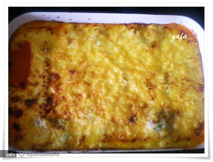Lasagne cu Legume
