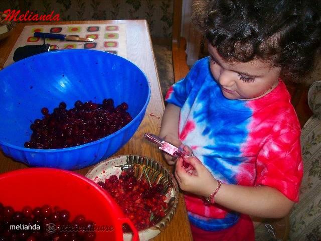 Dulceata de Visine