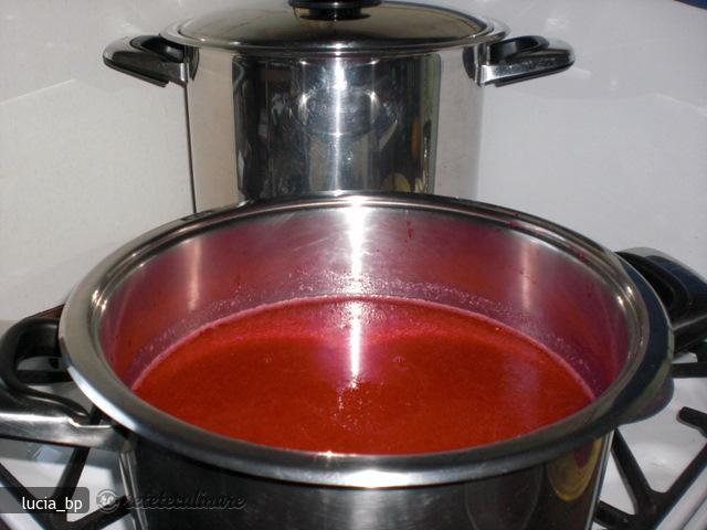 Sirop de Coacaze Rosii