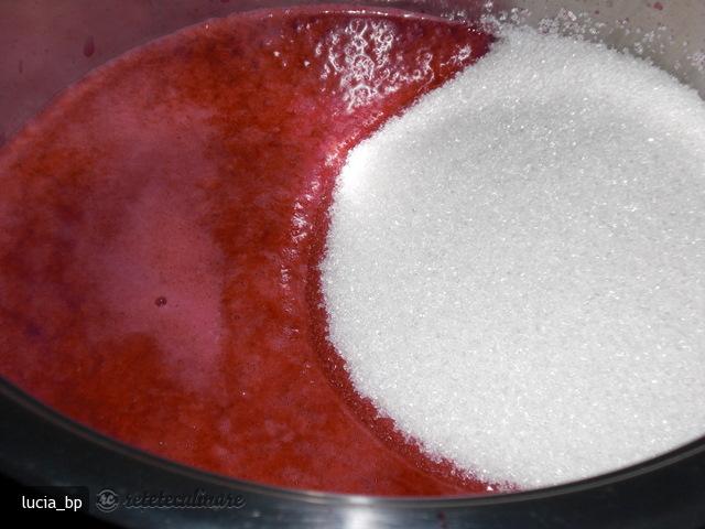 Sirop de Coacaze Rosii